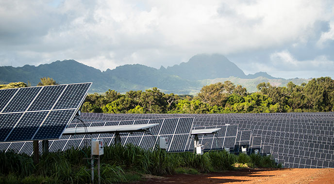 Rows of solar panels